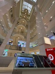 Lucky Plaza (D9), Shop House #568653241